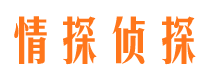 新城市调查公司